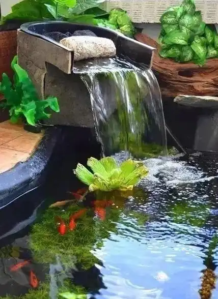 你家与最美庭院之间,只差一个鱼池的距离!