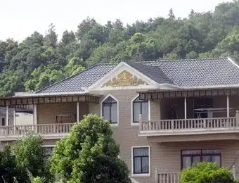 [图说中国]"气功大师"王林再曝三幢豪宅