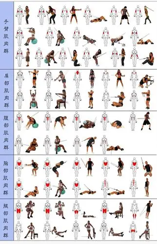 多功能拉力绳胸肌腹肌健身减肥锻炼必备(图解)