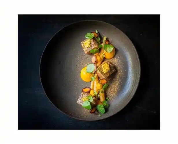 米其林菜品摆盘赏析