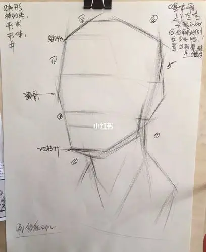素描步骤素描人物结构素描