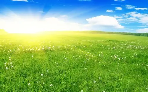 阳光明媚唯美风景图片桌面壁纸