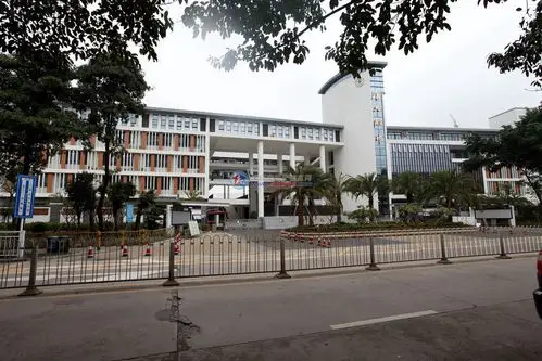 深大附中高中部