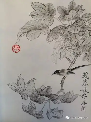 国画名家素描作品之花鸟篇