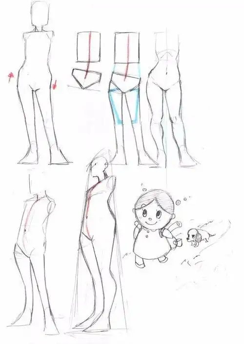 绘画教程人体身躯与四肢的形变画法人体体块教学