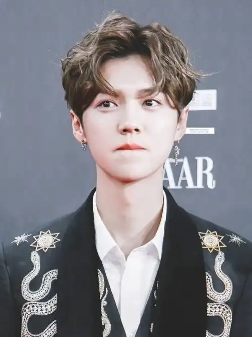 鹿晗的眼睛,被称做小鹿斑比的眼睛——眼睛大,睫毛长,眼珠圆,双眼皮不