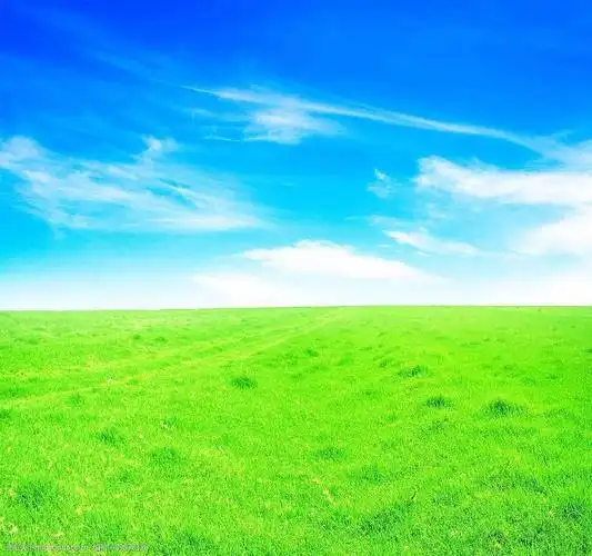 高清蓝天绿地图片