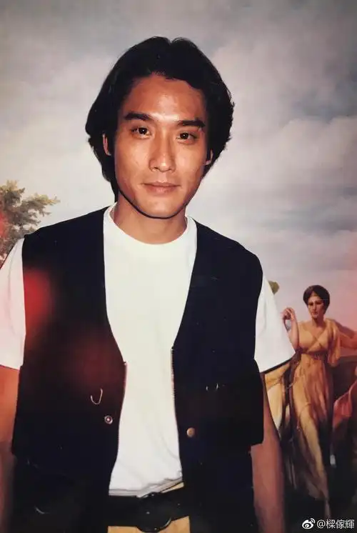 梁家辉 tony leung的图片