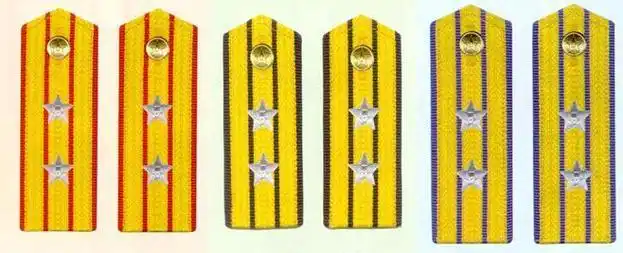 55式肩章陆海空军中校常服肩章(1955-1965)陆军中校军衔主要标志为金