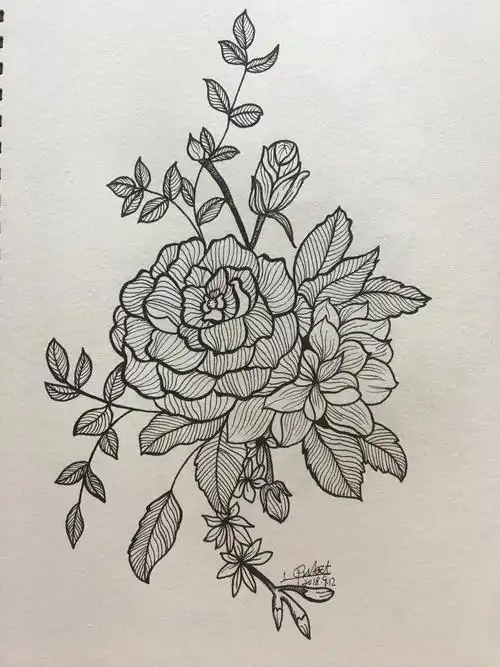 黑白线条[z动心]