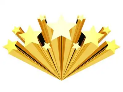 最闪亮的星图片