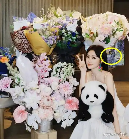 魏大勋疑为秦岚庆44岁生日,曝两人在三亚见过父母,有图为证!