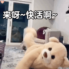 玩偶熊跳舞表情包动图第九期第二弹