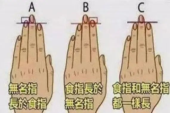 一般情况下人的五根手指头是明显长短不一的,若五指之中食指和中指一