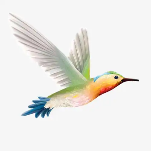关键词 : 手绘蜂鸟,水彩蜂鸟,展翅飞翔,小鸟,鸟类,速度