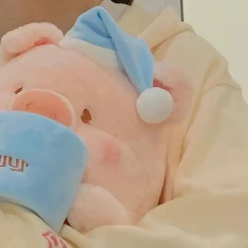 粉色猪猪小头像67小心爱见大心爱