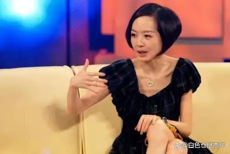 大势已去《鲁豫有约》也从一周一期改成了一天一期,可《鲁豫有约》也