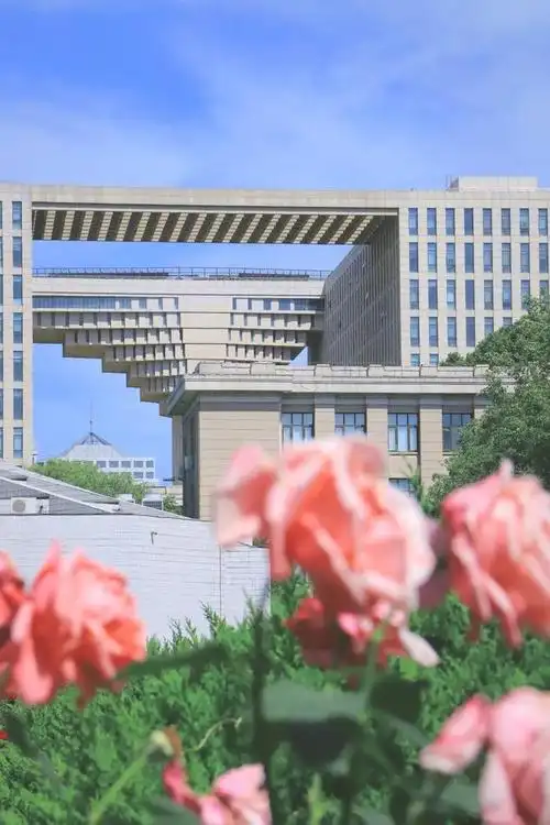 520!爱你,北京林业大学|表白|盛开|清华|北林_网易订阅