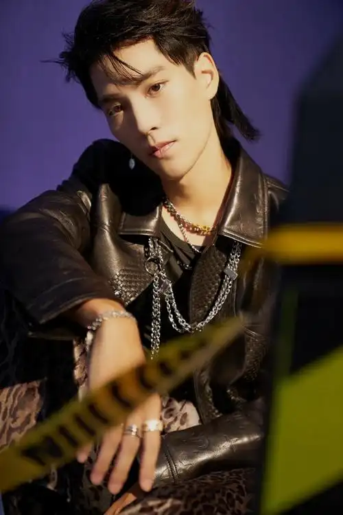 林子闳新歌不被定义