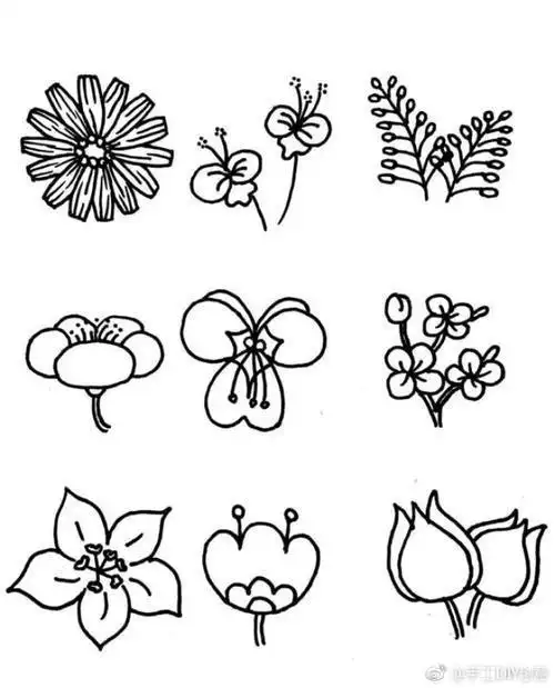 花怎么画简笔画简单的