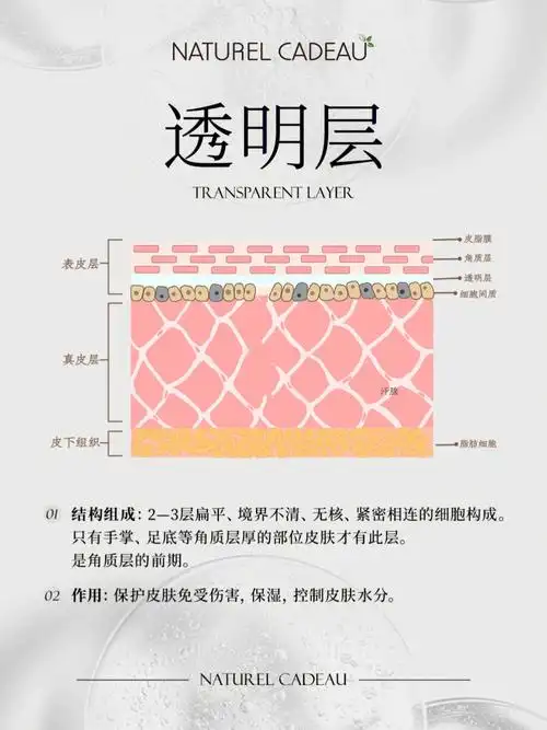 五一节后皮肤小课堂继续上课快来收藏
