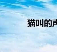 猫叫的声音下载(猫叫的声音)