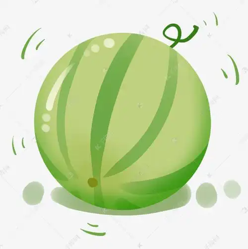 绿色圆形西瓜