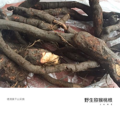 野生猕猴桃根 藤梨根 洋桃根 雄杨桃根 500克包邮 雄根卖刀口药