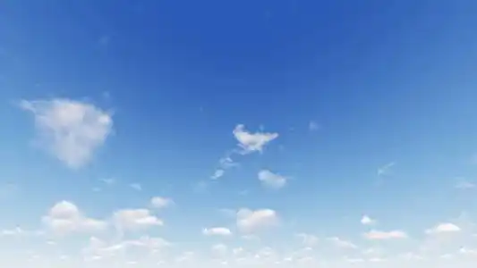 花园里的玫瑰很漂亮阳光明媚