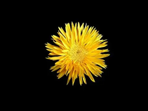 【音画素材】黑色背景图片素材大全