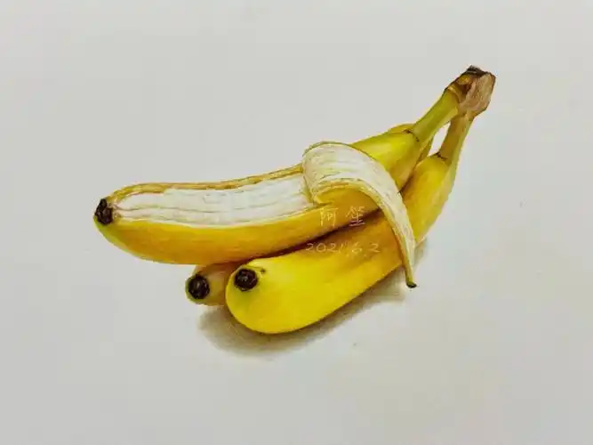 彩铅画香蕉过程图分享77文字讲解