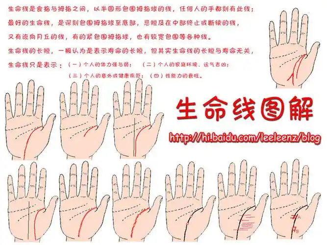 掌纹图解之生命线汇总