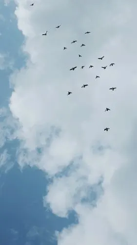 手机壁纸 背景图 拿图点赞