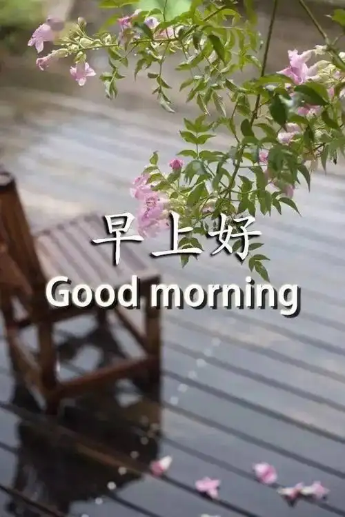 10月12日最漂亮早上好动态表情图片大全早晨好美图大全