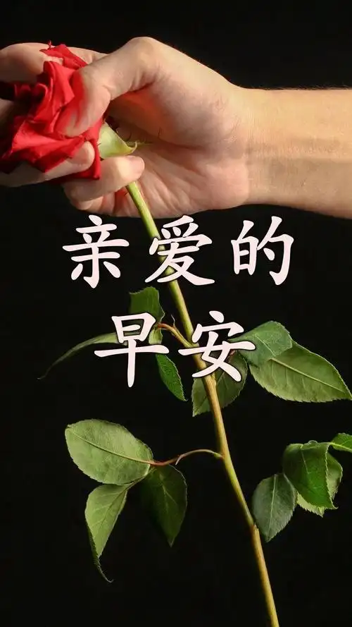 让人自律的正能量哲理小金句最好看亲爱的早安个性图片