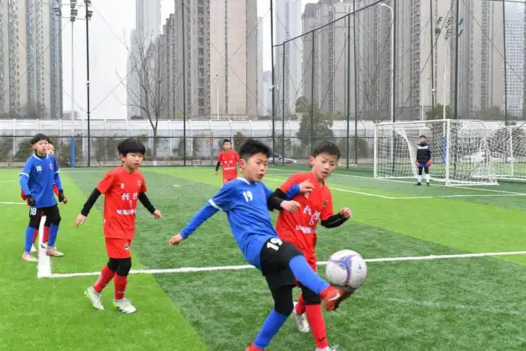 长塘里,天马德馨园分获省青少年足球俱乐部联赛 u12,u10组冠军_湖南省