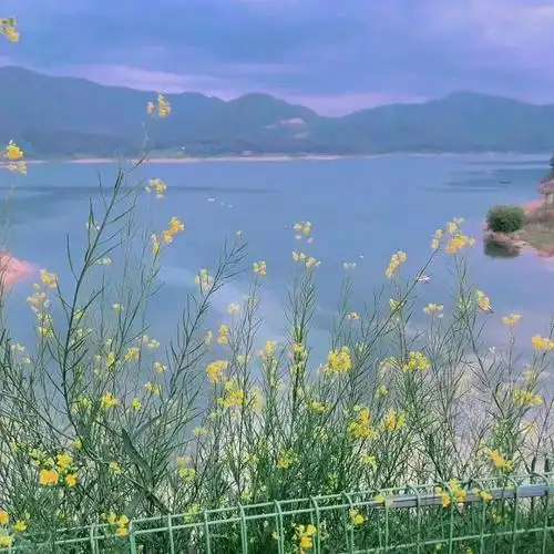 127张逼格超高的朋友圈背景图! - 知乎