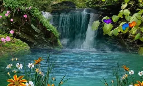 高清山泉花朵蝴蝶风景视频