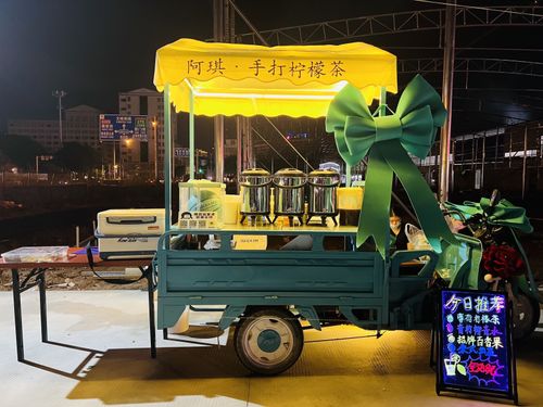 三轮车摆摊顶棚布小吃车摆摊车夜市雨棚电动车棚车篷顶晒定制户外