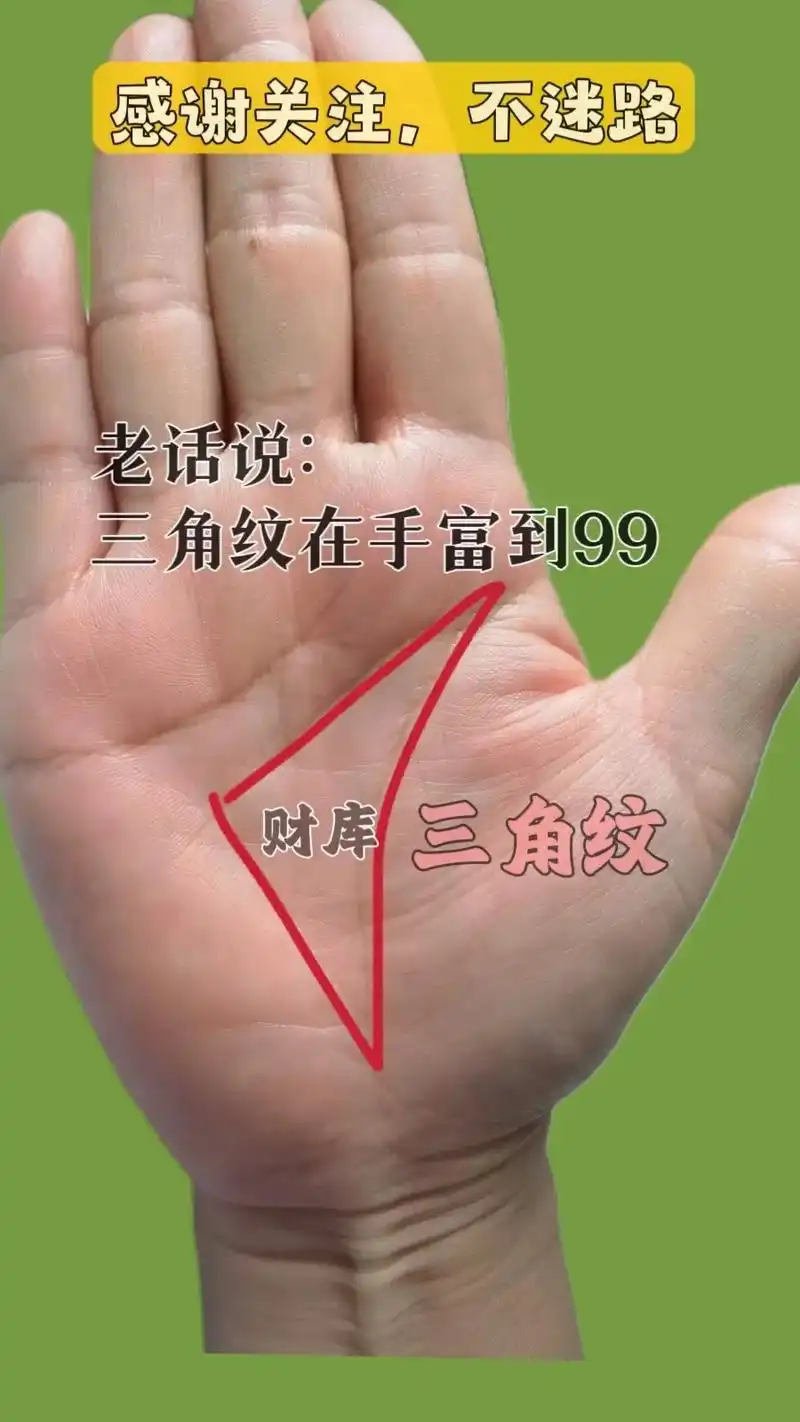 三角纹在手,富到99#掌纹的秘密 #知识创作人 #国学智慧  - 抖音
