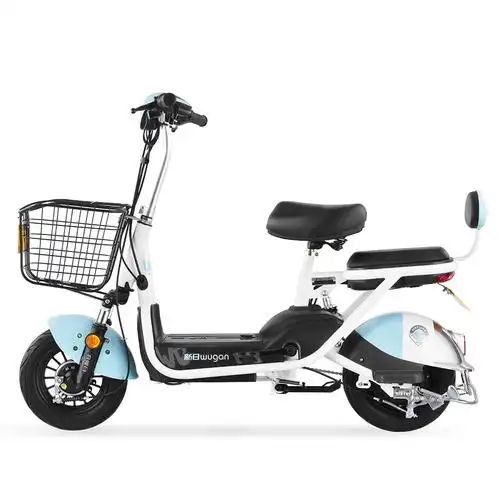 新日sunra电动车新国标舞感电动自行车可提取锂电成人电瓶车男女式中