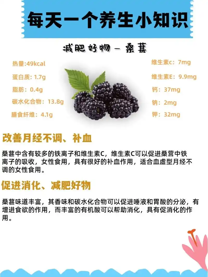 解密桑葚滋补功效.【女人吃桑葚有什么好 - 抖音