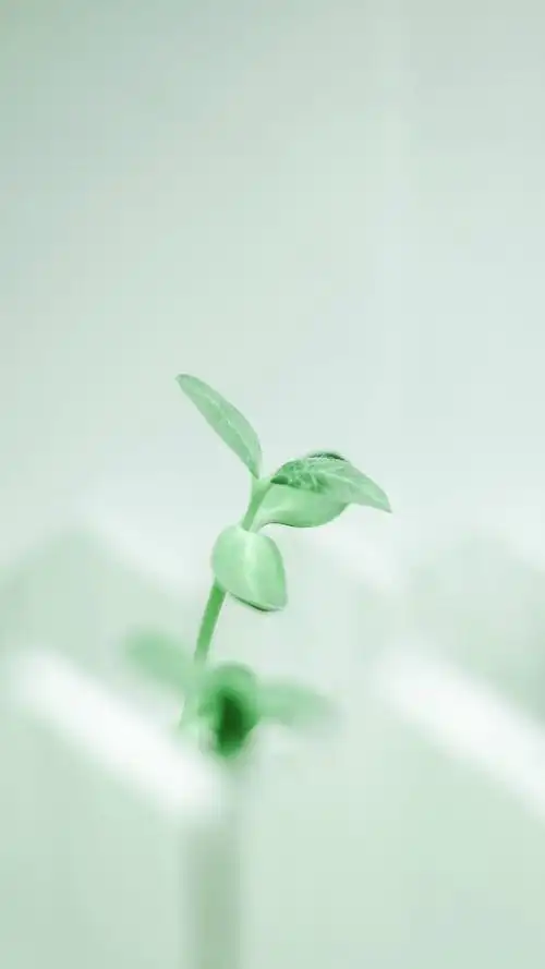 清爽- 堆糖,美图壁纸兴趣社区