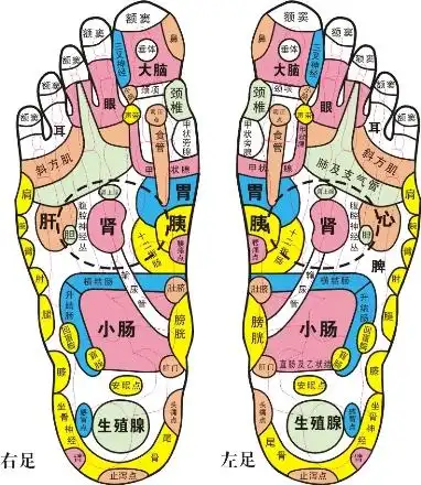 脚底穴位图片