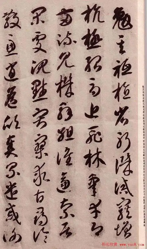 智永书法字帖草书千字文15