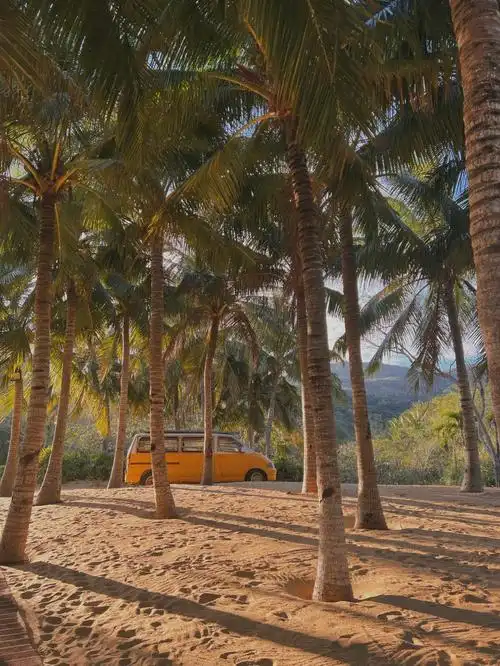 三亚最美小岛呆呆岛最ins的度假沙滩