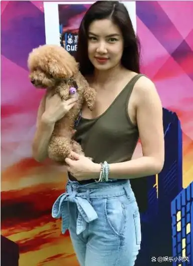 菀菀类卿这些男星好专一前任和现任似一个模子刻出来的