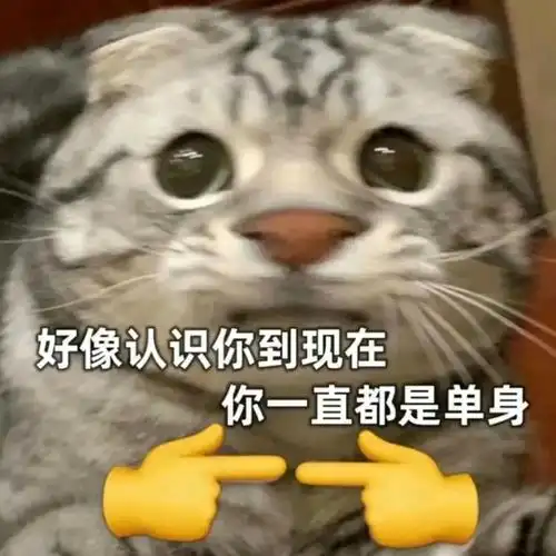 单身狗永不为奴!-聊天表情-搞笑图片表情包-表情包网站