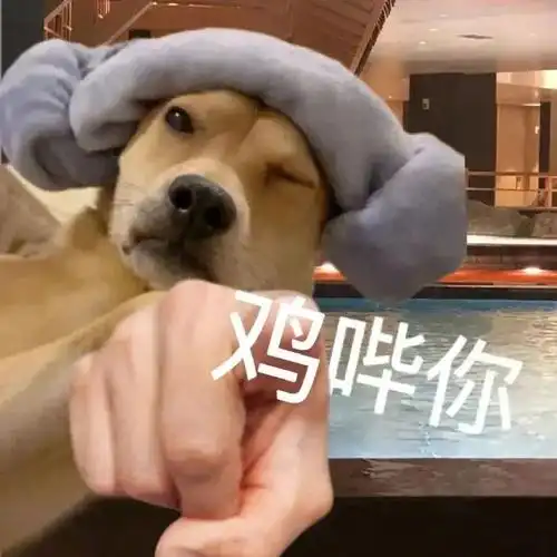 表情包:聊天界的搞笑担当