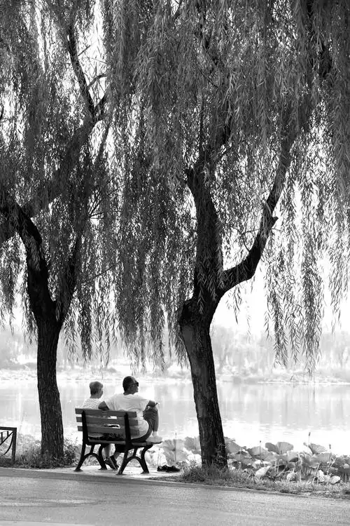 黄昏时分,一对老人静坐湖边令人艳羡.